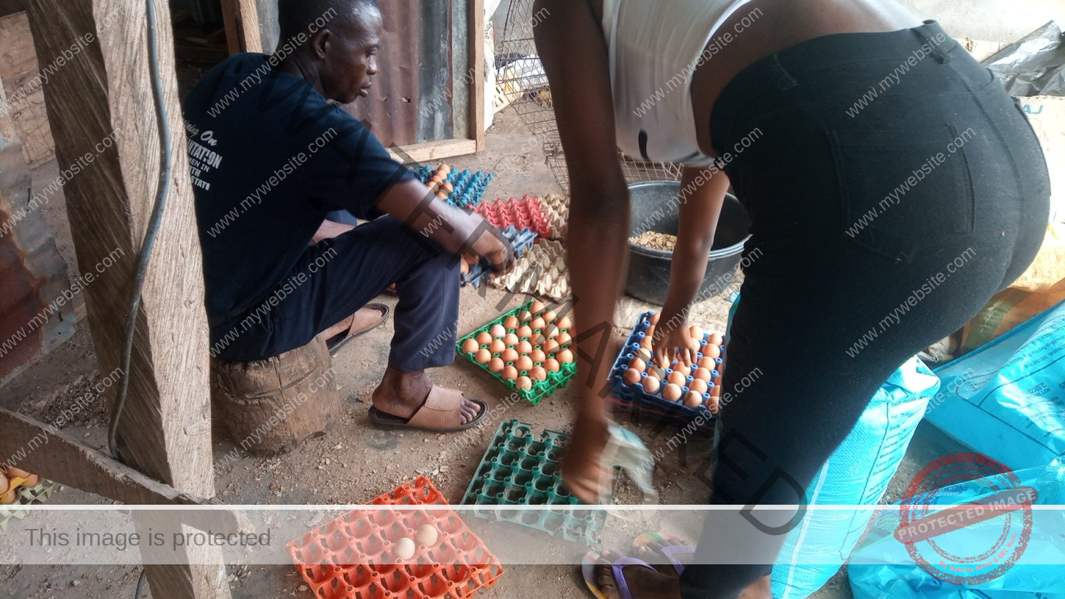 How To Start Egg Distribution Business [Step By Step Guide]