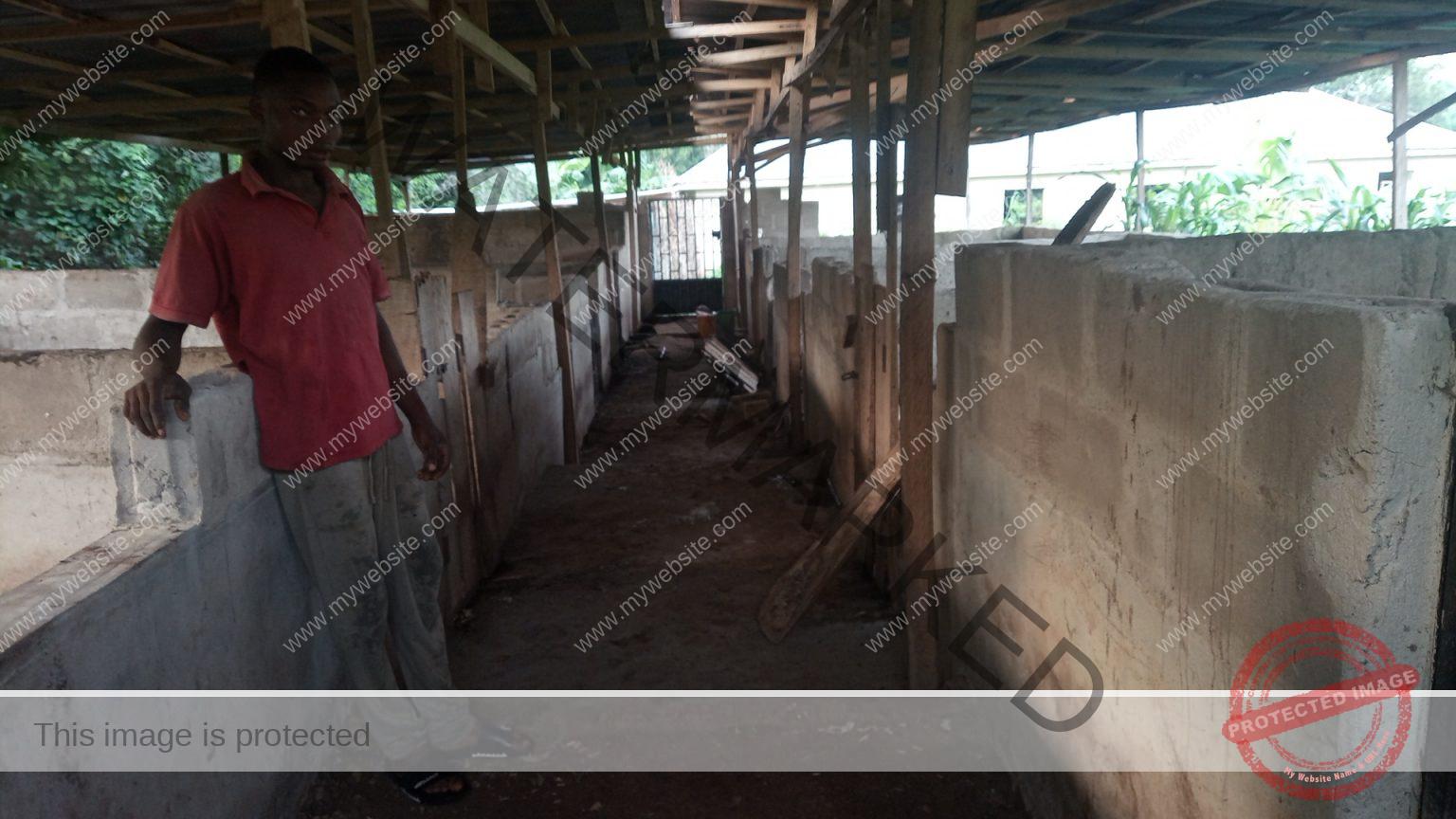 business plan for pig farming in ghana