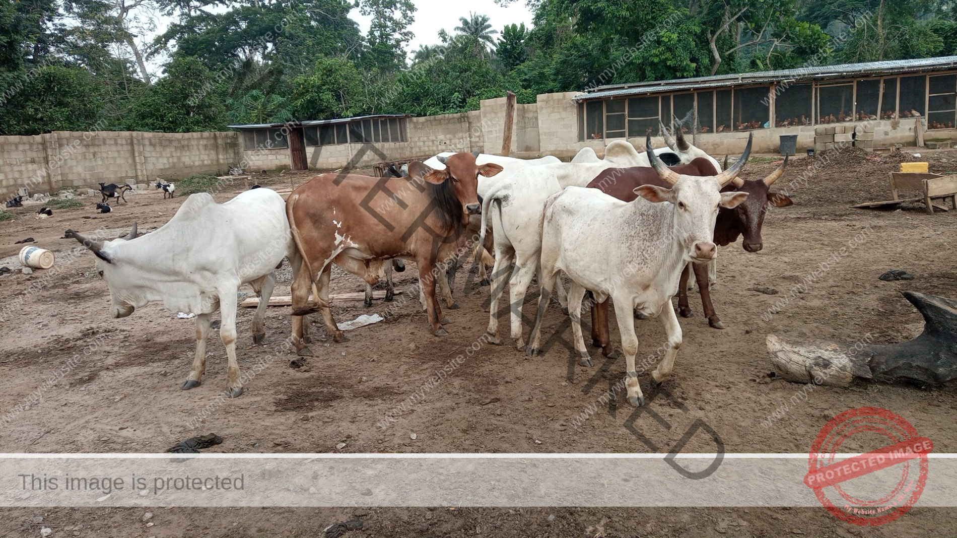 How To Start Farming With No Money [Beginners Guide]