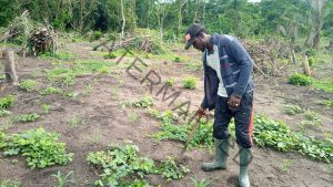 How To Start Farming Business