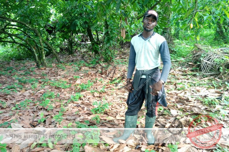 General farming tips Farming For Beginners I Want To Be A Farmer