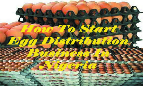 how to start egg distribution business in Nigeria
