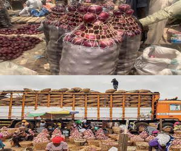 How To Start Planting Onions In Ghana
