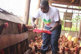 Johnson Basangwa the richest poultry farmer in Uganda