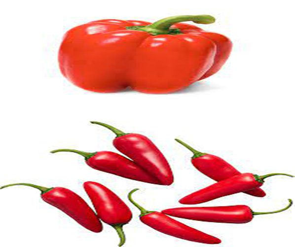 how to grow pepper in Kenya