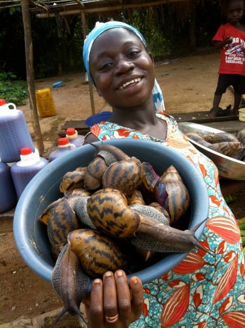 snail farming business plan in ghana