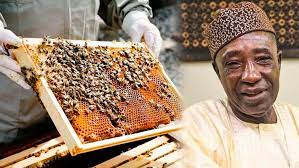 How To Start Bee Farming In Nigeria