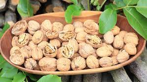 Guide on How to Grow Walnuts from seed