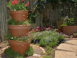 Container Gardening For Plant Cultivation In South Africa