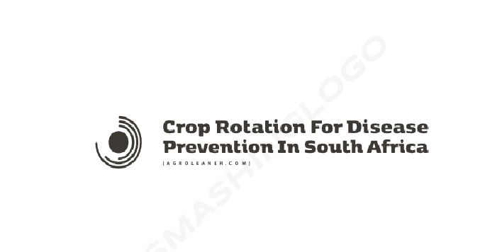 Crop Rotation for Disease Prevention in South Africa