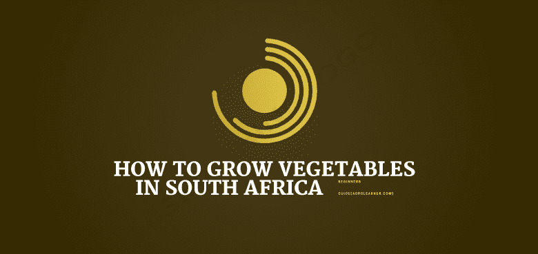 How to Grow Vegetables in South Africa