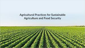 Sustainable Agriculture Practices