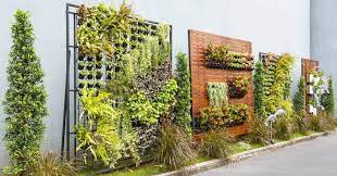 Vertical Gardening For Plant Cultivation In South Africa
