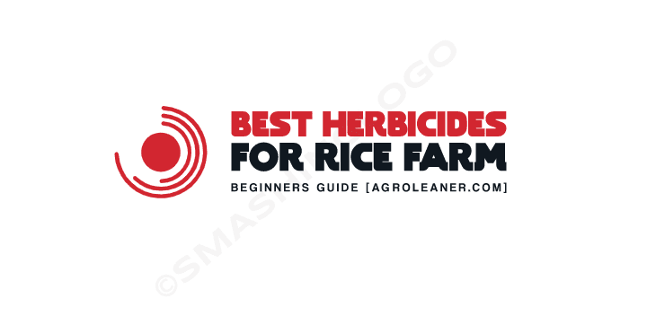best Herbicides for Rice Farm