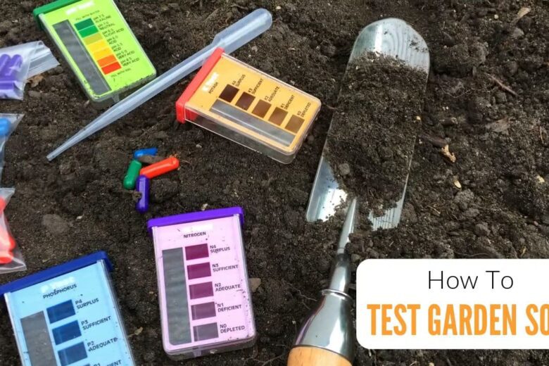how to test soil acidity