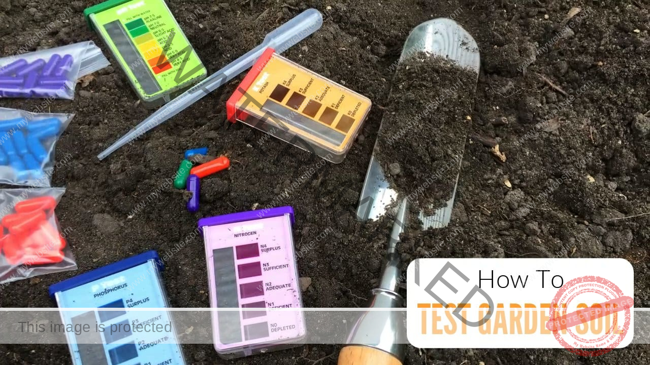 How To Test Soil Acidity Without Lab or Kit