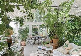 Plants Suitable For A Conservatory