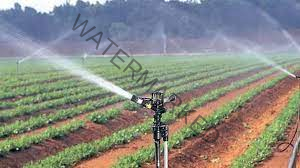 Sprinkler Irrigation System In Kenya
