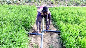 Sprinkler Irrigation System In Nigeria