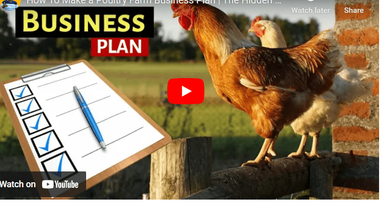 Business Plan for a Poultry Farmer in Ghana Pdf