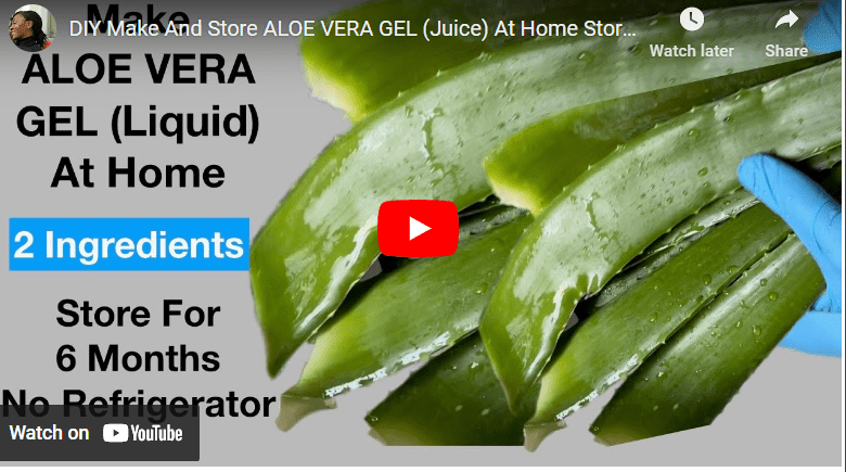 How To Preserve Aloe Vera For Long-Time Storage