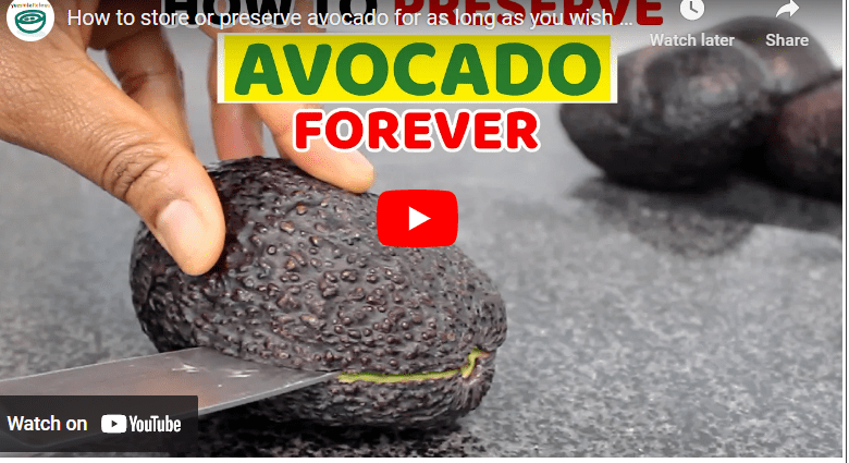How To Preserve Avocado For Long Time Storage