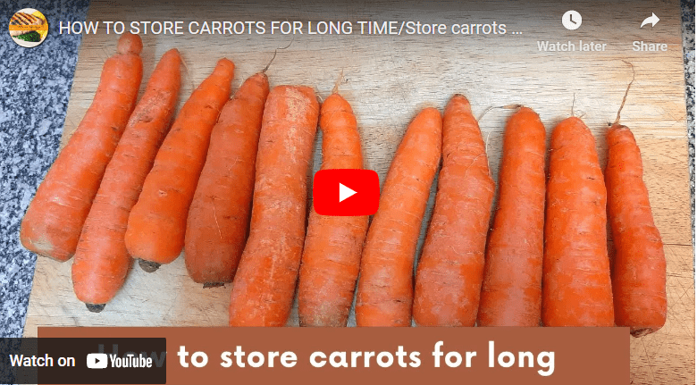 How To Preserve Carrot For Long Time Storage