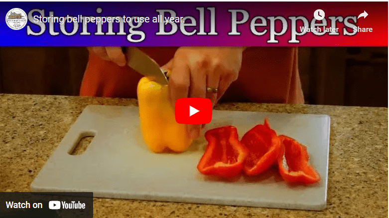 How To Preserve Green Peppers For Long Time Storage