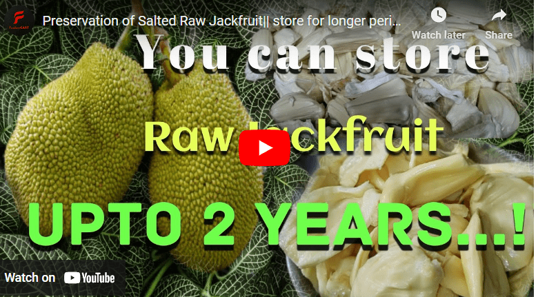 How To Preserve Jackfruit For Long Time Storage
