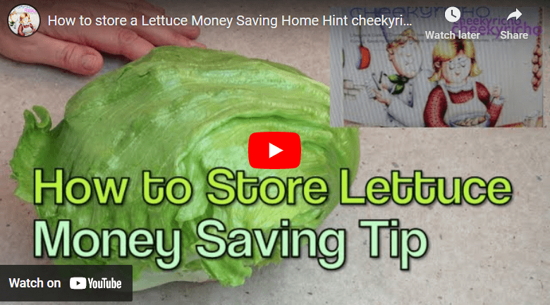 How To Preserve Lettuce For long Time Storage