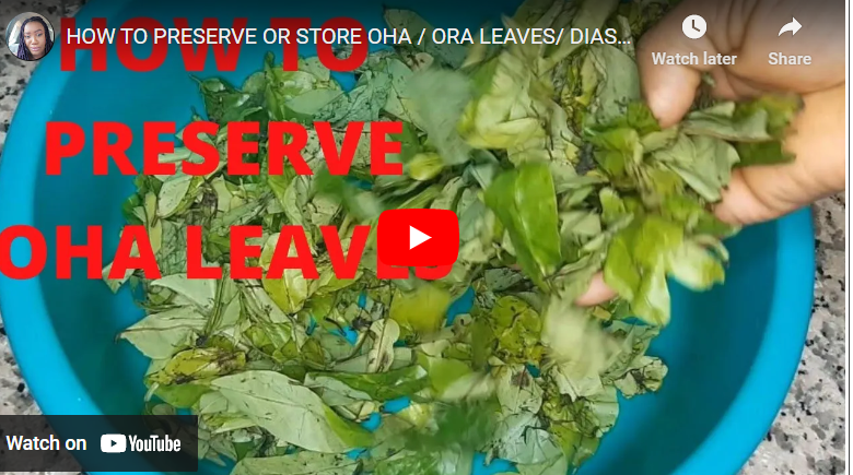 How To Preserve Oha Leaves For Long Time Storage
