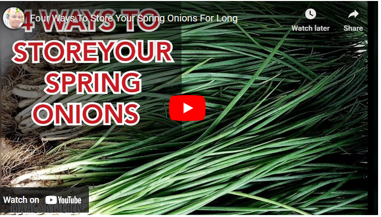 How To Preserve Spring Onions For Long Time Storage