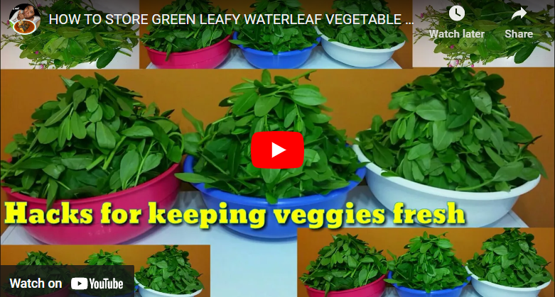 How To Preserve Water Leaf For Long Time Storage