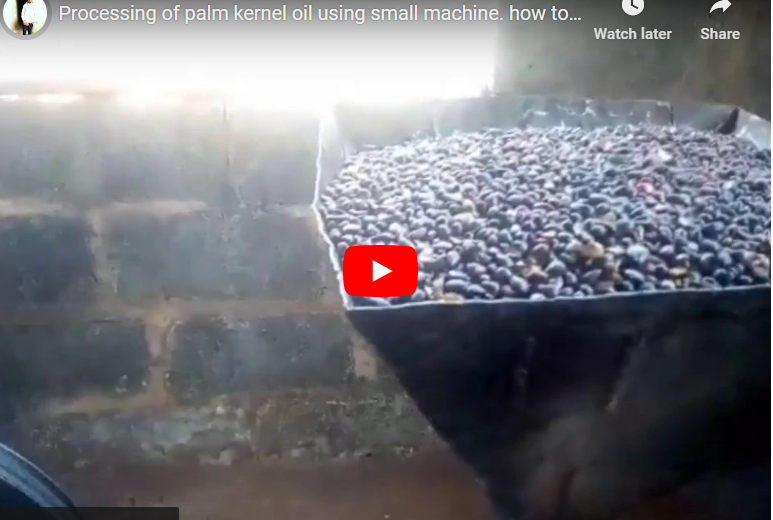How To Process Palm Kernel Oil