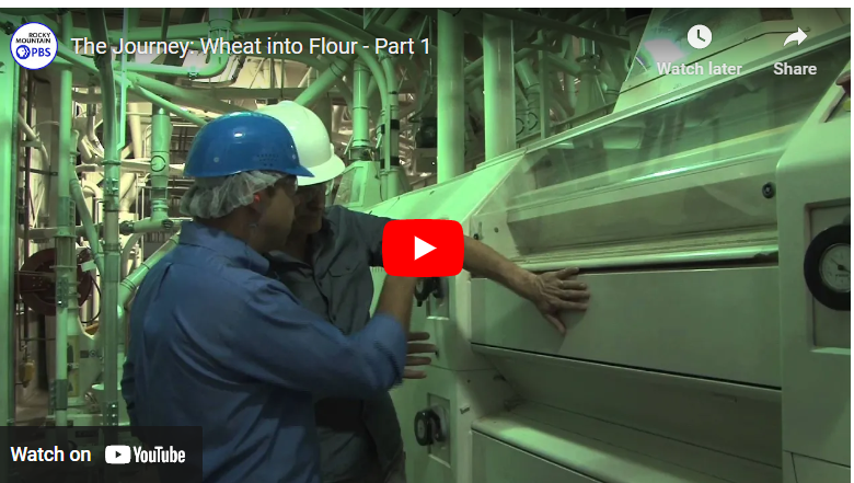 How To Process Wheat into Flour