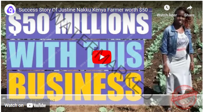 Profitable can farming practices in Kenya