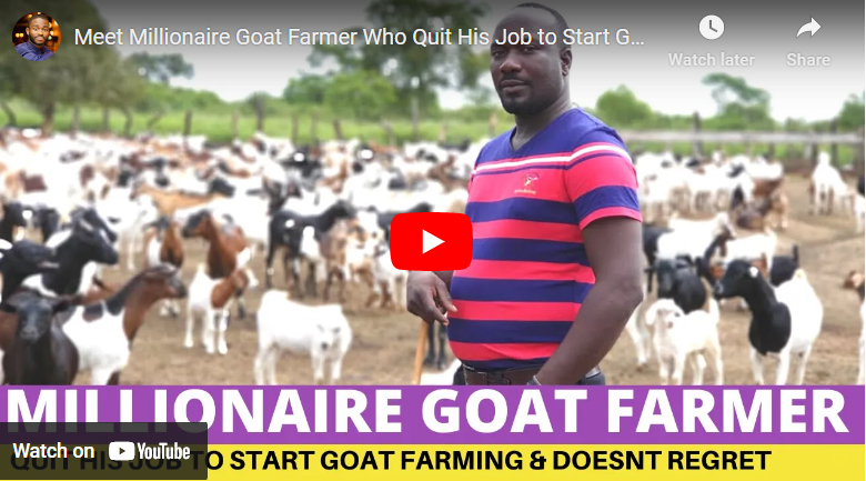 Richest Goat Farmers In Uganda
