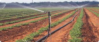 Sprinkler Irrigation System In Uganda