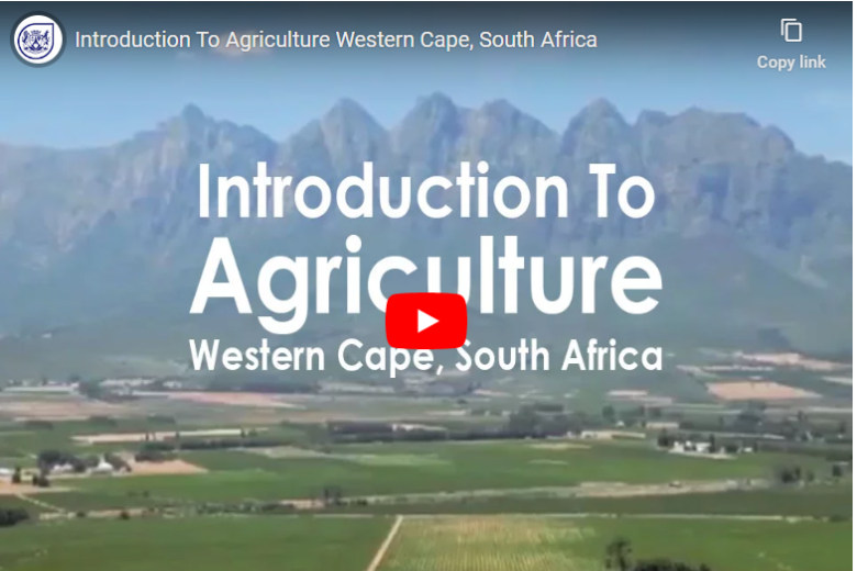 Agriculture Facts In South Africa