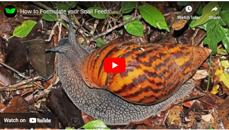 How To Formulate Feed For Snail