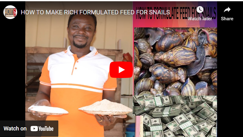 How To Formulate Feed For Snail In Ghana