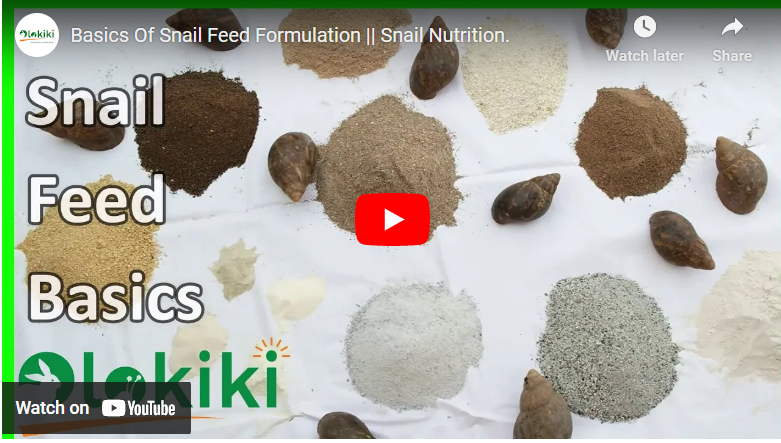 How To Formulate Feed For Snail In the US