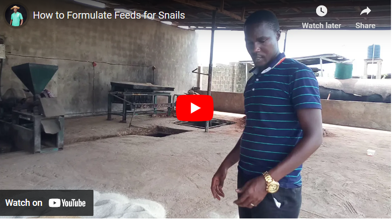 How To Formulate Feed For Snail South Africa
