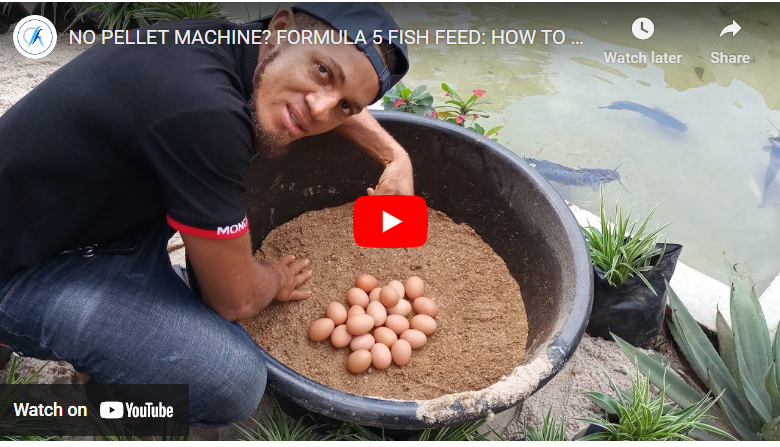 How To Formulate Fish Feed In Ghana