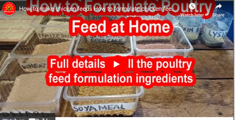 How To Formulate Poultry Feed In Kenya