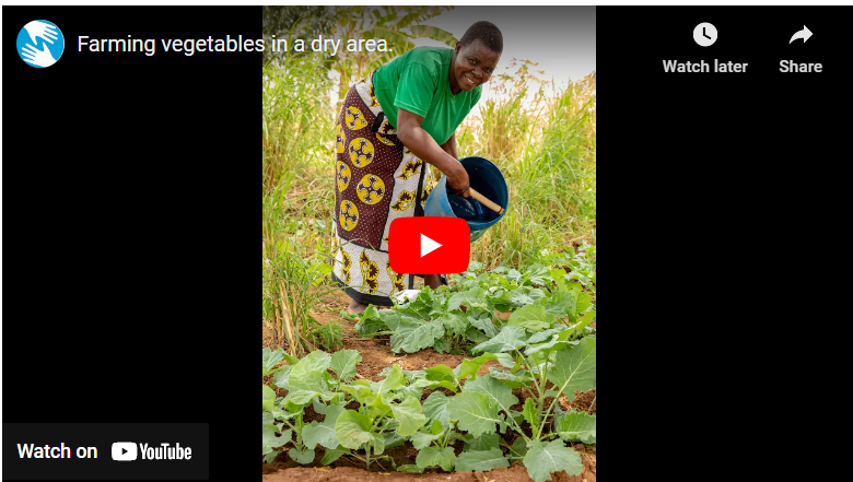 How To Plant Vegetables in Dry Season in Kenya
