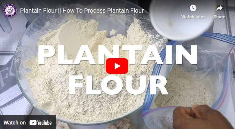 How To Process Plantain Flour