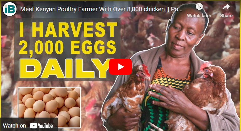 Richest Poultry Farmer In Kenya