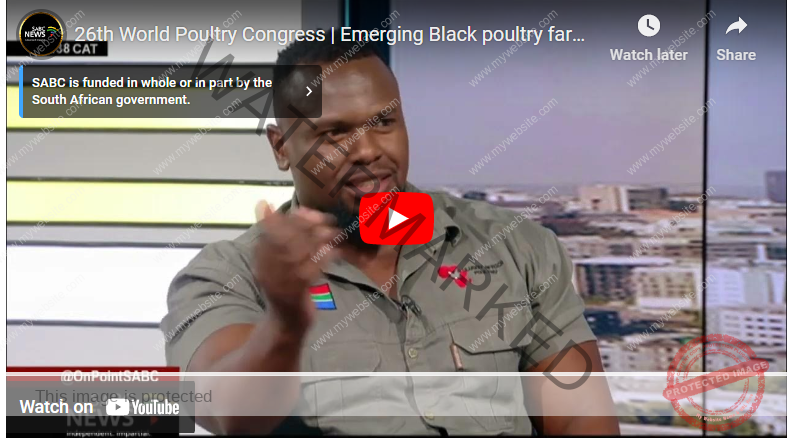 Richest Poultry Farmer In South Africa