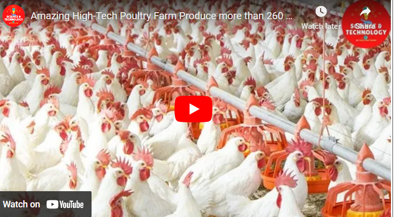 Richest Poultry Farmer In The World